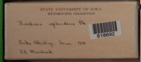 Image Associated With the Occurence